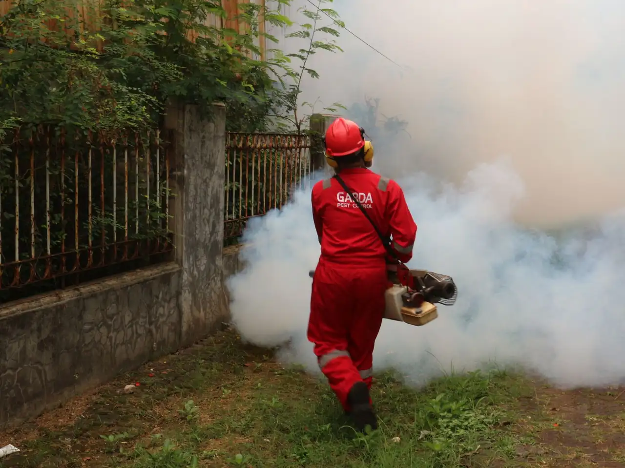 Mosquito Control