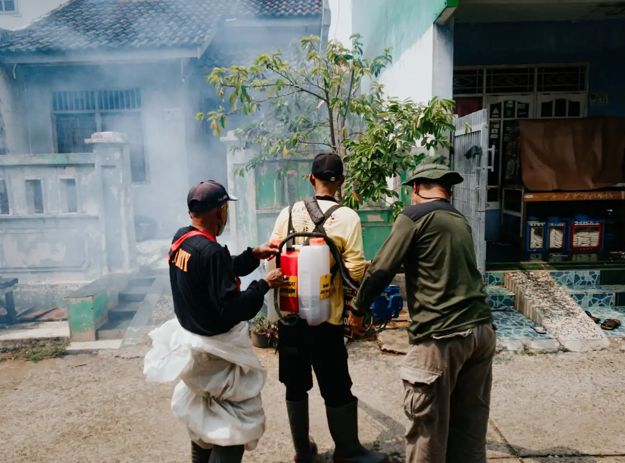 Mosquito Control