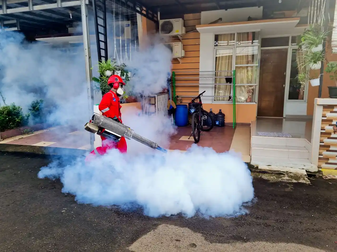 Rodent Control