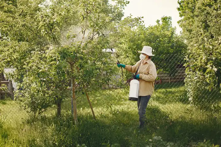 Technician preparing professional equipment